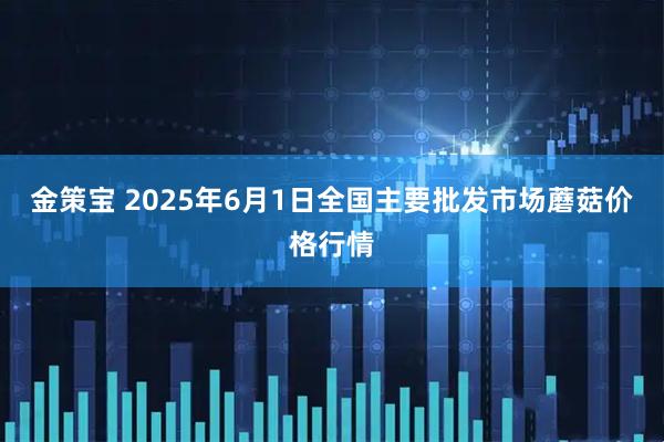金策宝 2025年6月1日全国主要批发市场蘑菇价格行情